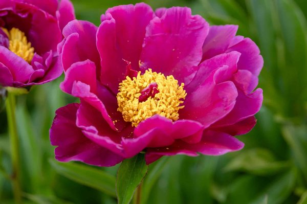 Come implementare un sistema di raccolta differenziata efficace in un piccolo condominio?